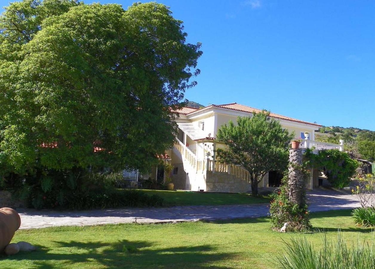 Apartmán Casa-Palo-Pique Icod De Los Vinos Exteriér fotografie